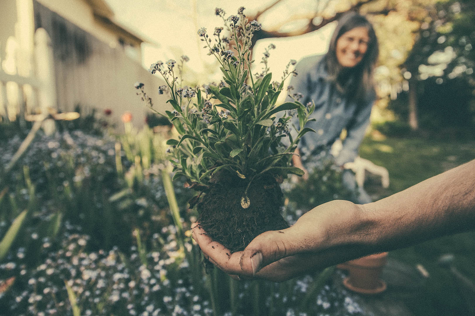 A woman holding a plant